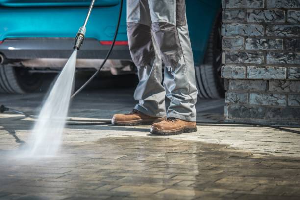 Best Paint Preparation  in Excelsior, MN